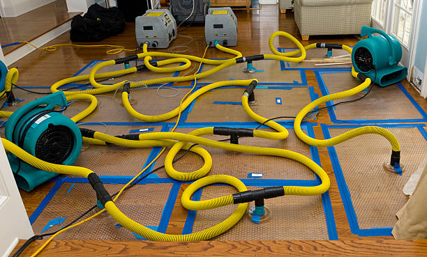 Professional Burst Pipe Water Damage technician working in Weston, FL